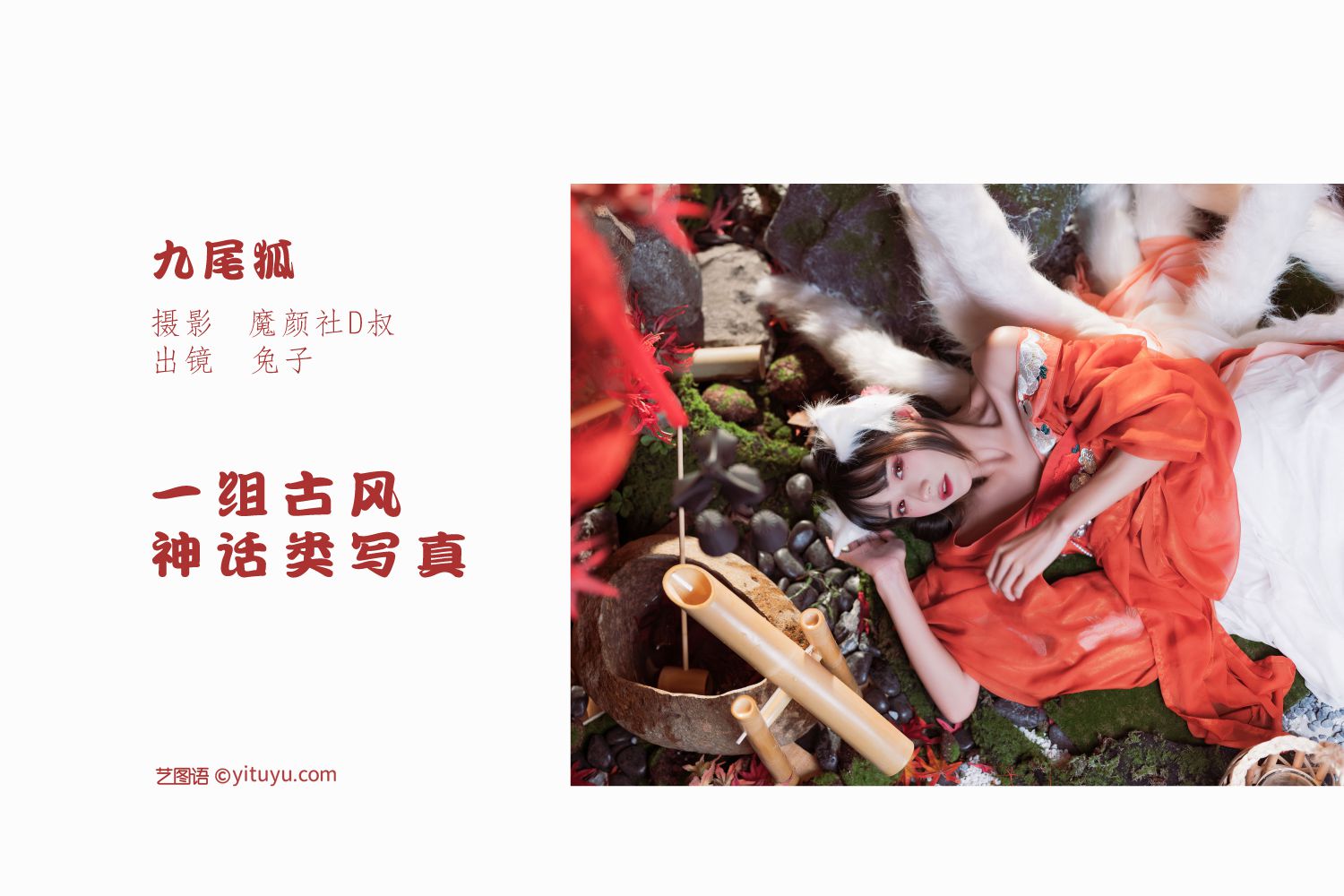 图片[2]-九尾狐 兔子不吃胡萝卜-COS世界