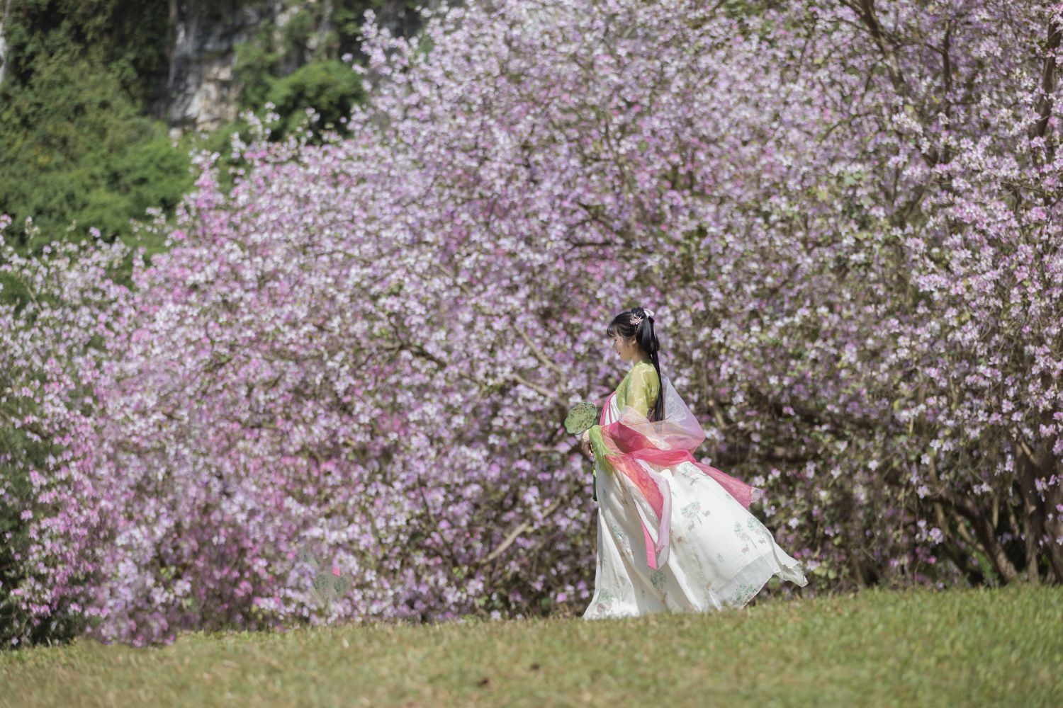 图片[18]-花如锦-COS世界