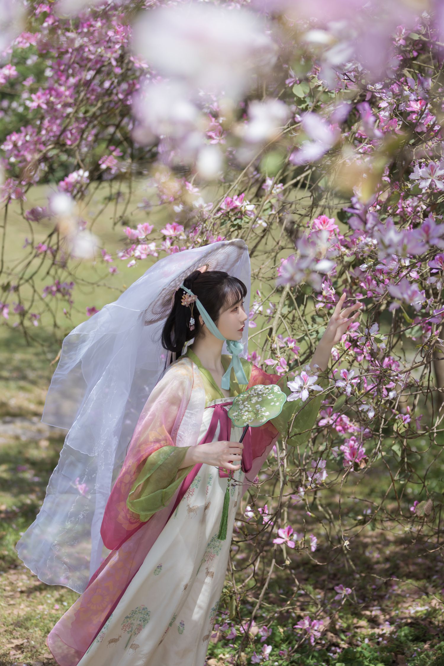 图片[23]-花如锦-COS世界